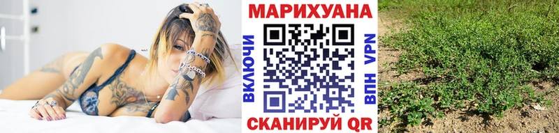 МАРИХУАНА планчик Тверь